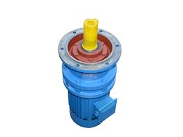 BLD2XWD4立式擺線(xiàn)針輪減速機（帶電機)