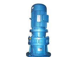立式擺線(xiàn)針輪減速機(jī)（帶電機(jī)）